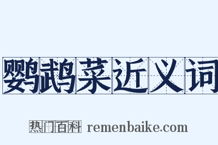 鹦鹉菜近义词是什么意思的图片